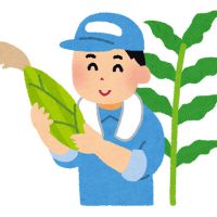 野菜、果物ネット販売の成功事例！成功農園のホームページは何が違う？
