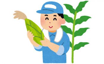 野菜、果物ネット販売の成功事例！成功農園のホームページは何が違う？