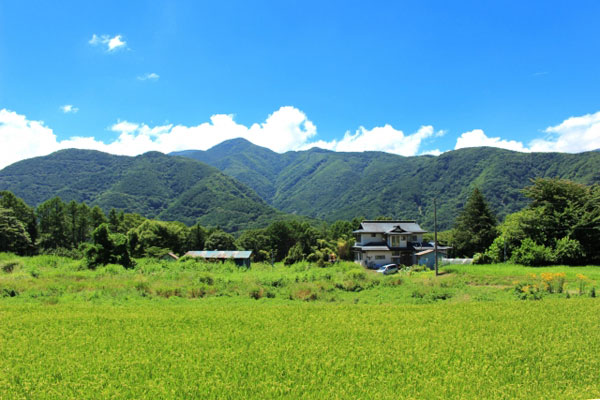 地域活性化のヒントに 農業で町おこしに成功した事例をまとめて紹介