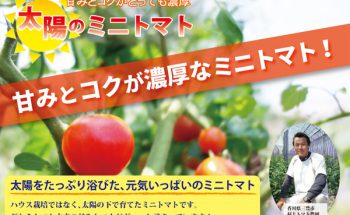 農ログがトマト農家さんと共にプロデュースした、「太陽のミニトマト」「太陽のシシリアンルージュ」が販売開始